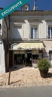 /international/fr/chatillon-sur-indre-centre-val-de-loire-310100404778/
