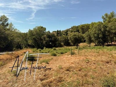 /international/fr/taradeau-provence-alpes-cote-d-azur-310101383604/
