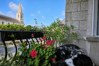 /international/fr/la-roche-bernard-brittany-310108929041/?lang=th