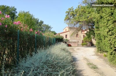 /international/fr/millas-languedoc-roussillon-310108041840/