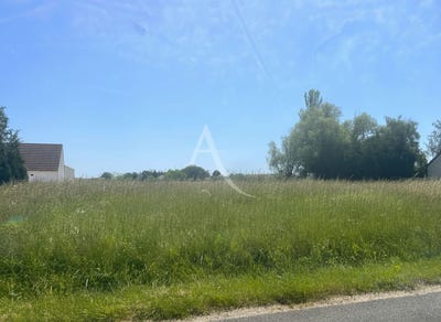/international/fr/le-controis-en-sologne-centre-val-de-loire-310108599235/
