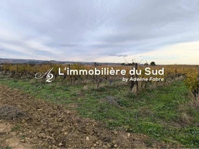 /international/fr/maraussan-languedoc-roussillon-310106295234/