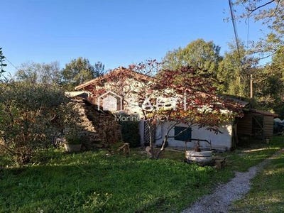 /international/fr/burlats-midi-pyrenees-310103349411/