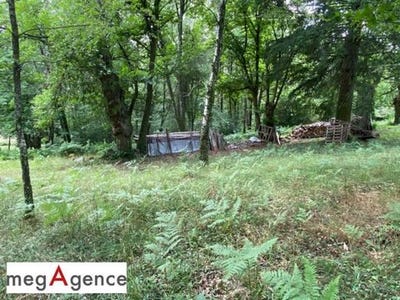/international/fr/tulle-limousin-310101603832/