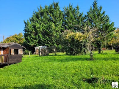 /international/fr/tournus-burgundy-310106189771/