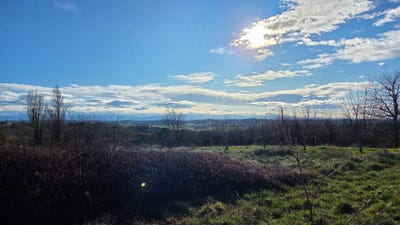 /international/fr/marciac-midi-pyrenees-310108138013/