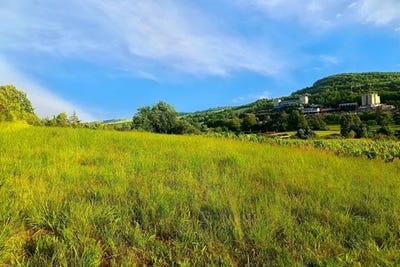 /international/fr/albi-midi-pyrenees-310099951512/