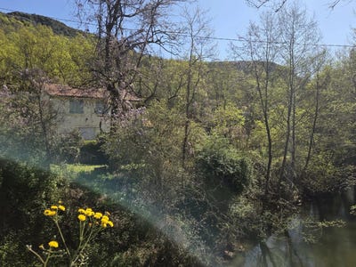 /international/fr/puycelsi-midi-pyrenees-310107218811/