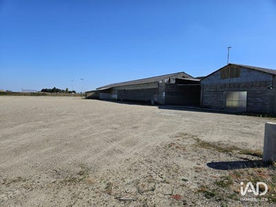 /international/fr/saint-nicolas-de-la-grave-midi-pyrenees-310103608646/
