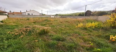 /international/fr/lezignan-la-cebe-languedoc-roussillon-310104117283/