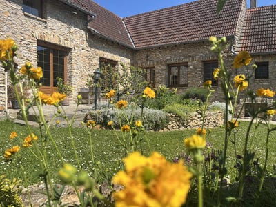 /international/fr/raizeux-ile-de-france-310099614667/
