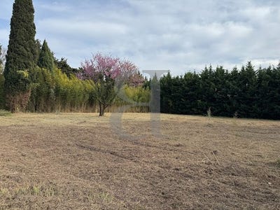 /international/fr/saint-remy-de-provence-provence-alpes-cote-d-azur-310100038276/