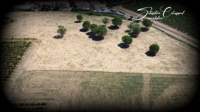 /international/fr/alignan-du-vent-languedoc-roussillon-310100877668/
