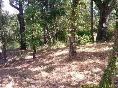 /international/fr/les-mayons-provence-alpes-cote-d-azur-310108453805/