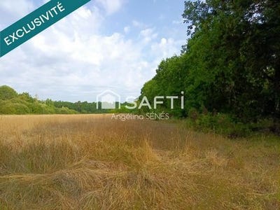 /international/fr/saugon-aquitaine-310105347684/