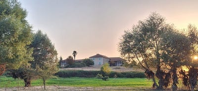 /international/fr/masseube-midi-pyrenees-310108676902/