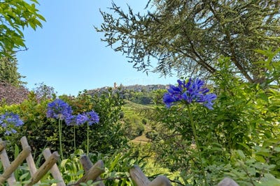 /international/fr/saint-paul-de-vence-provence-alpes-cote-d-azur-310100169357/