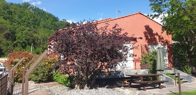 /international/fr/prats-de-mollo-la-preste-languedoc-roussillon-310106188592/