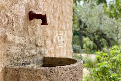 /international/fr/saint-remy-de-provence-provence-alpes-cote-d-azur-310101419024/?lang=it