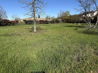 /international/fr/plaisance-du-touch-midi-pyrenees-310107707015/