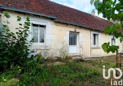 /international/fr/selles-sur-cher-centre-val-de-loire-310099413574/