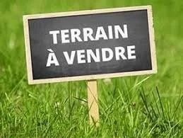 /international/fr/saint-pierre-du-chemin-pays-de-la-loire-120088753065/