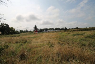 /international/fr/terssac-midi-pyrenees-310104147884/