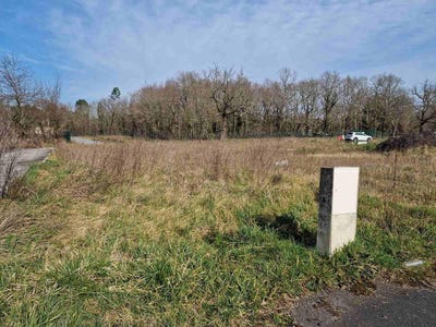 /international/fr/saint-andre-de-cubzac-aquitaine-310101902071/
