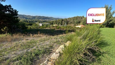 /international/fr/marges-rhone-310099462825/