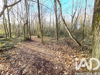 /international/fr/capvern-midi-pyrenees-310105296197/