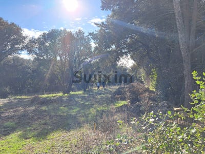 /international/fr/sommieres-charente-310105830609/