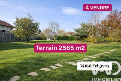 /international/fr/feigeres-rhone-310107492520/