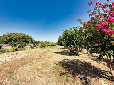 /international/fr/pavie-midi-pyrenees-310109531763/