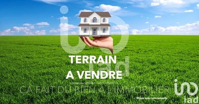 /international/fr/saint-laurent-de-la-pree-charente-310099738995/