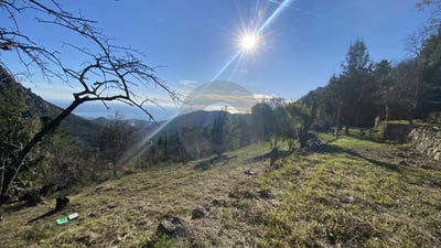 /international/fr/gorbio-provence-alpes-cote-d-azur-310107840175/