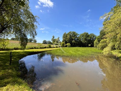 /international/fr/andouille-pays-de-la-loire-310108270428/