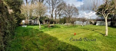 /international/fr/saint-mars-de-coutais-pays-de-la-loire-310106830805/
