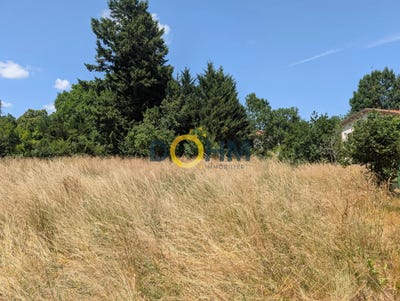 /international/fr/ceaux-d-allegre-auvergne-310098924083/