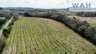 /international/fr/salinelles-languedoc-roussillon-310106295240/