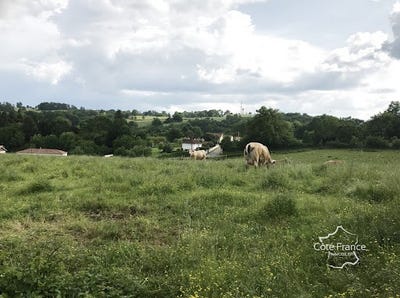 /international/fr/bagnac-sur-cele-midi-pyrenees-310108306380/