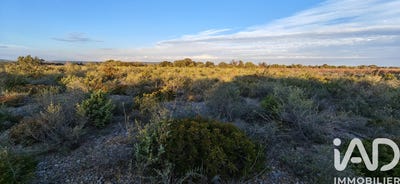 /international/fr/la-palme-languedoc-roussillon-310102953186/