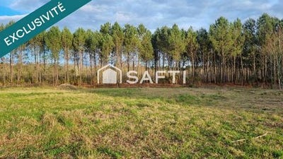 /international/fr/pontenx-les-forges-aquitaine-310106267290/