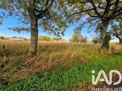 /international/fr/la-limouziniere-pays-de-la-loire-310108180941/