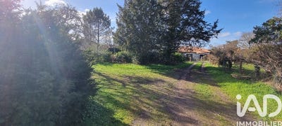 /international/fr/moustey-aquitaine-310105771401/
