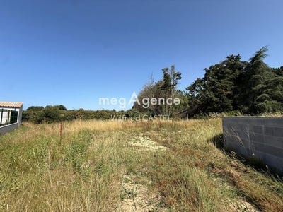 /international/fr/l-ile-d-olonne-pays-de-la-loire-310108812032/