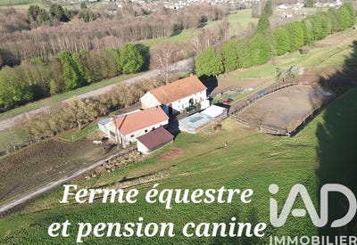 /international/fr/ban-sur-meurthe-clefcy-lorraine-310106574163/