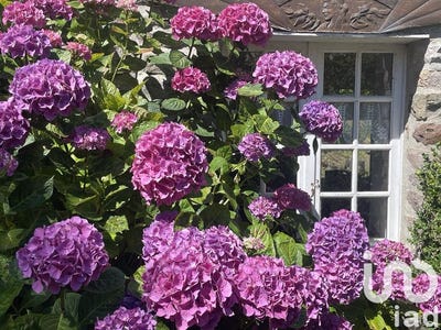 /international/fr/plouezec-brittany-310100953461/?lang=zh-cn