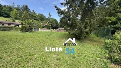 /international/fr/crevechamps-lorraine-310101173087/