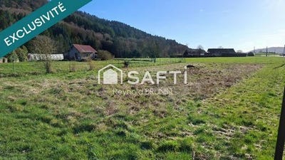 /international/fr/saint-etienne-les-remiremont-lorraine-310106358440/
