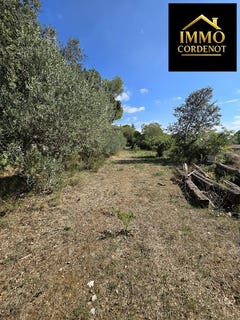/international/fr/brignoles-provence-alpes-cote-d-azur-310120567612/